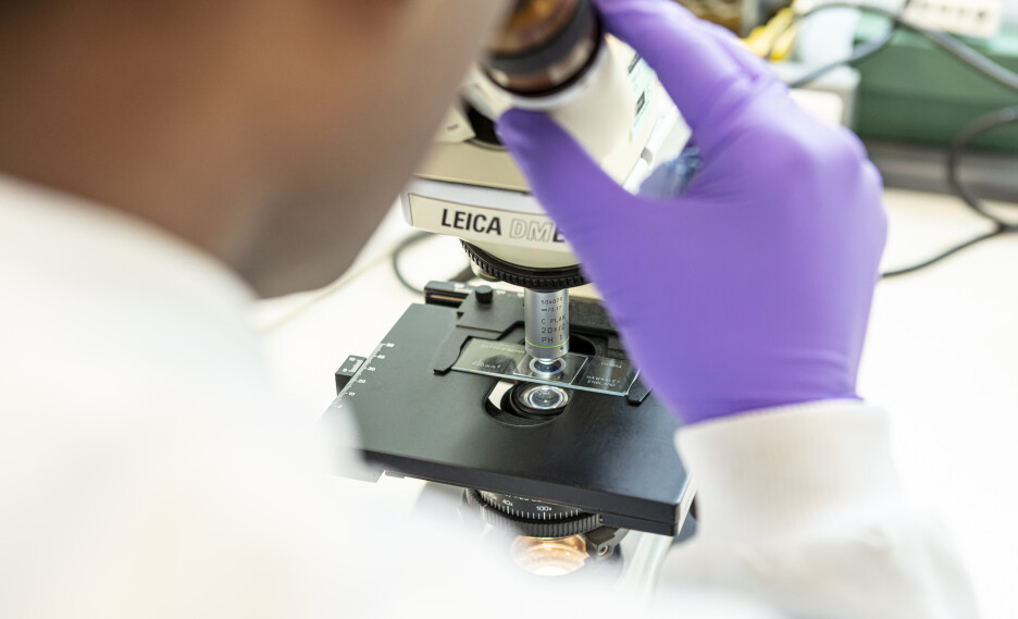 CB17153-073__FocusFillWyIwLjAwIiwiMC4wMCIsOTM2LDU2OV0