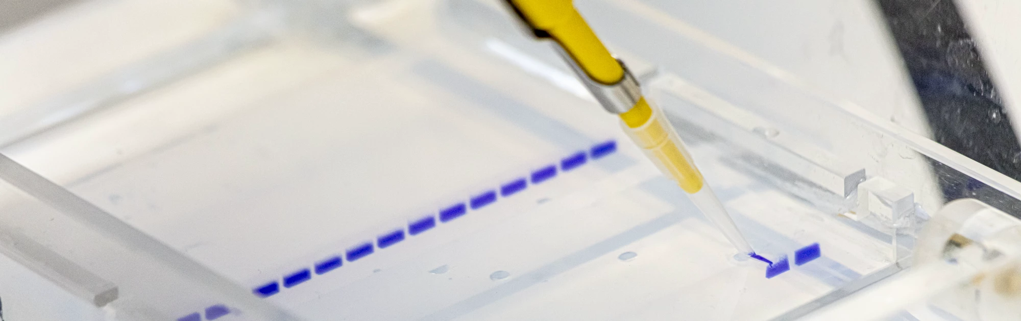 Inspiralis-Supporting-Innovation-with-Superior-Enzymes__FocusFillWyIwLjAwIiwiMC4wMCIsMjAwMCw2Mjld_ext-WyJwbmciLCJ3ZWJwIl0